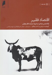 اقتصاد فقیر