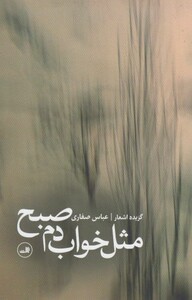 کتاب مثل خواب دم صبح