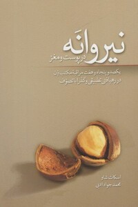 نیروانه در پوست و مغز
