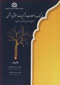 کتاب فرهنگ اصطلاحات و ترکیبات حقوقی و فقهی
