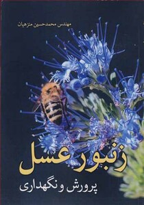 زنبورعسل پرورش و نگهداری
