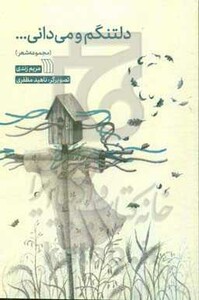 کتاب دلتنگم و می دانی...
