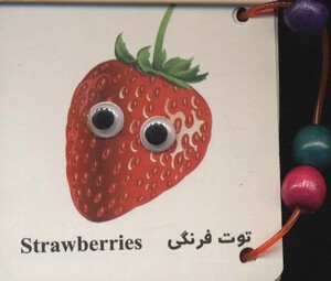 کتاب فلش کارت چشمی میوه ها