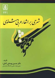 کتاب شرحی بر اشعار عربی مثنوی