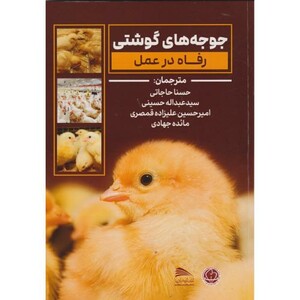 جوجه های گوشتی رفاه در عمل