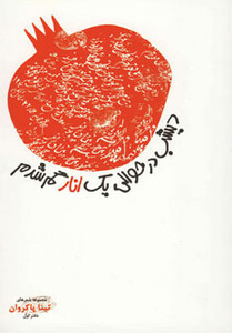 کتاب دیشب در حوالی یک انار گم شدم