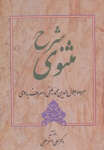 کتاب شرح مثنوی 5