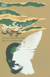 کتاب بزرگ مرد کوچک