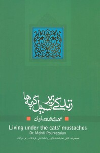 زندگی زیر سبیل گربه ها