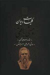 کتاب کلیات دیوان وحشی بافقی 139227