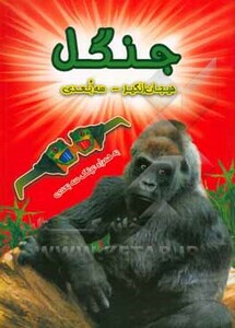 کتاب جنگل هیجان انگیز سه بعدی