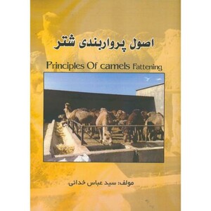 اصول پرواربندی شتر