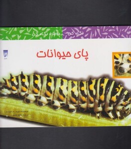 کتاب نگاه کن دوباره نگاه کن پای حیوانات