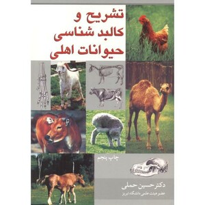 تشریح و کالبدشناسی حیوانات اهلی