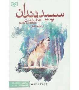 کتاب رمان های کلاسیک 20