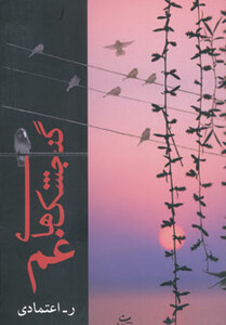 کتاب گنجشک های غم