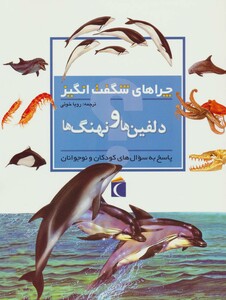 کتاب دلفین ها و نهنگ ها از چراهای شگفت انگیز