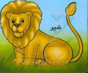 شیر از حیوانات را بشناسیم