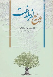 کتاب بدیع از بلاغت