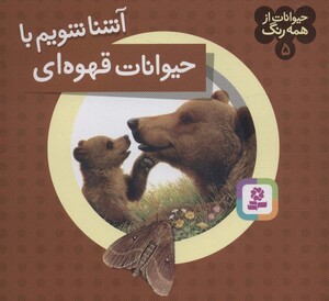 آشنا شویم با حیوانات قهوه ای