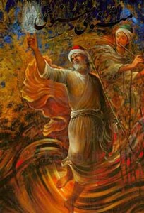 کتاب مثنوی معنوی شکیبا نشر گویا قطع وزیری