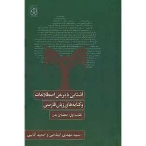 کتاب برخی اصطلاحات و کنایه های زبان فارسی