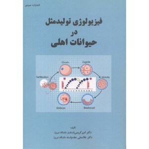 کتاب آموزش گام به گامWORD