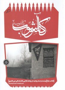 کتاب کاشوب 1