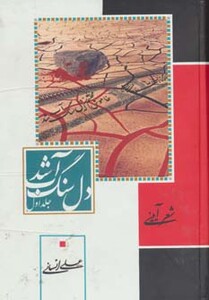 کتاب دل سنگ آب شد نشر جمهوری