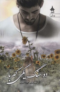 کتاب دو سنگ یکی کهربا