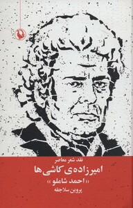 کتاب امیرزاده کاشی ها