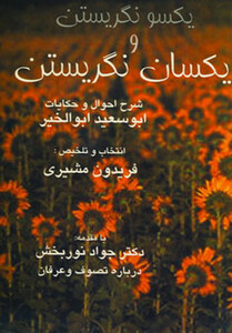 کتاب یکسو نگریستن و یکسان نگریستن