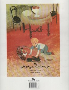 کتاب من معذرت نمی خواهم مناسب نابینایان ، سیمی