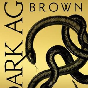 دانلود کتاب رمان Dark Age اثر Pierce Brown زبان اصلی