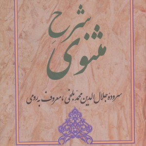 کتاب شرح مثنوی 5