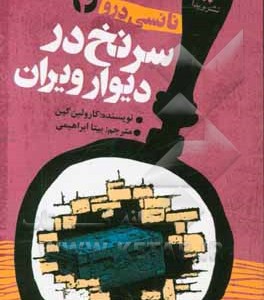 کتاب نانسی درو 4 اثر کارولین کین ترجمه بیتا ابراهیمی