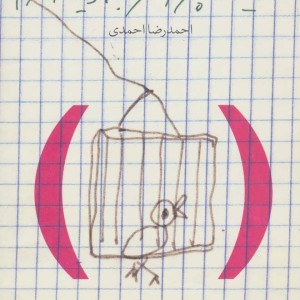 کتاب در یک پرانتز به دنیا آمدم