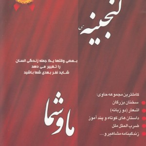 کتاب گنجینه ما و شما اثر حمیدرضا ساداتیان