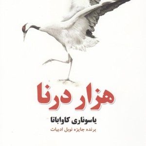کتاب هزار درنا نشر آمه
