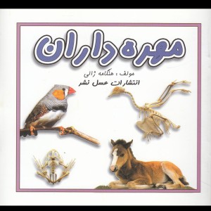 کتاب مهره داران نشر عسل نشر