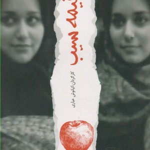 کتاب دی وی دی دو نیمه سیب
