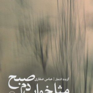 کتاب مثل خواب دم صبح