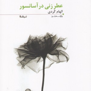 پازل شعر امروز 118 عطر زنی در آسانسور