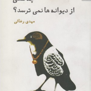 کتاب چه کسی از دیوانه ها نمی ترسد