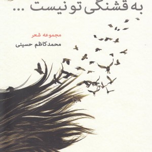 کتاب هیچ دروغی به قشنگی تو نیست