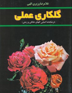 کتاب گلکاری عملی