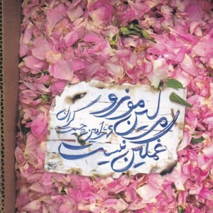 کتاب مرلین مونرو غمگین نیست