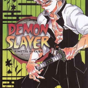 مجموعه مانگا DEMON SLAYER 17