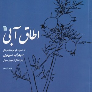 کتاب اطاق آبی