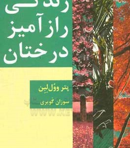 کتاب زندگی رازآمیز درختان